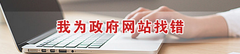 我为政府网站找错