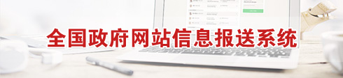 全国政府网站信息报送系统