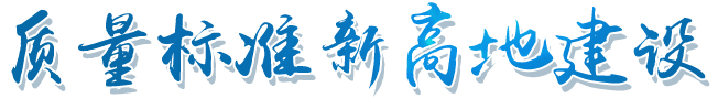 质量标准新高地建设