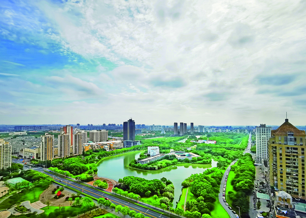 初夏的松江新城中央公园芳草萋萋流水潺潺绿树成荫