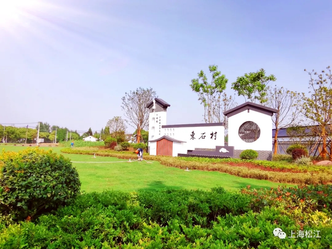 自由翱翔……作为上海市第三批乡村振兴示范村,位于叶榭镇的兴达村,东