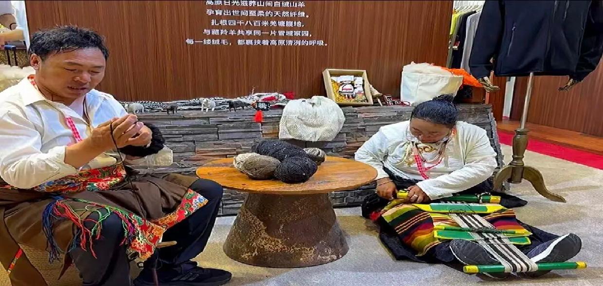 一根“善意纤维”跨越数千公里，松江企业携手西藏尼玛共启羊绒全产业链之旅