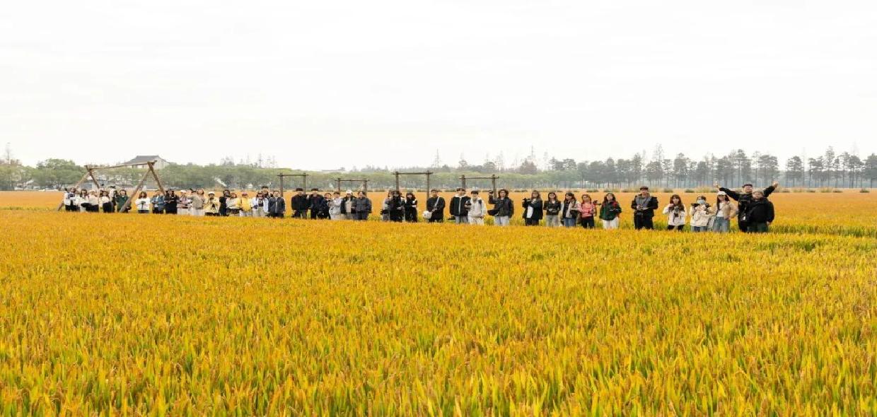 青年下乡、科创进村，松江这个村景色变特色，乡土更潮流