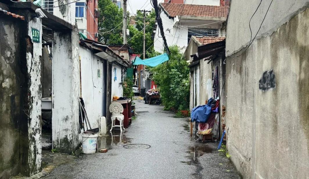 风过雨歇，松江11577名转移安置人员已全部平安返回