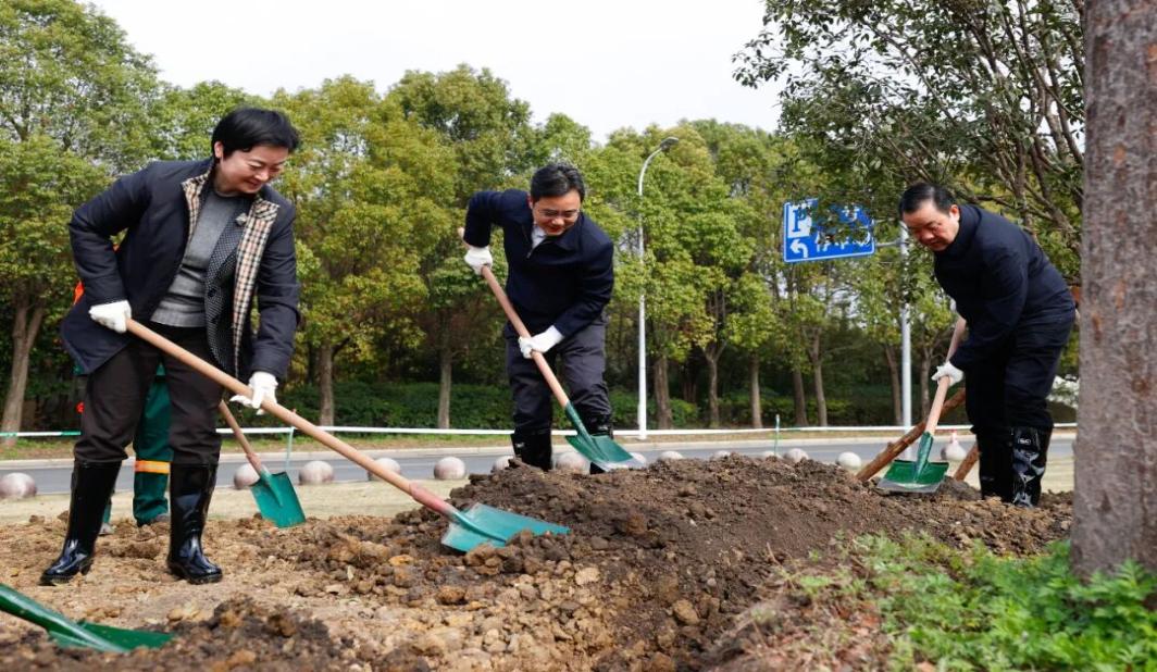 区领导参加全民义务植树活动