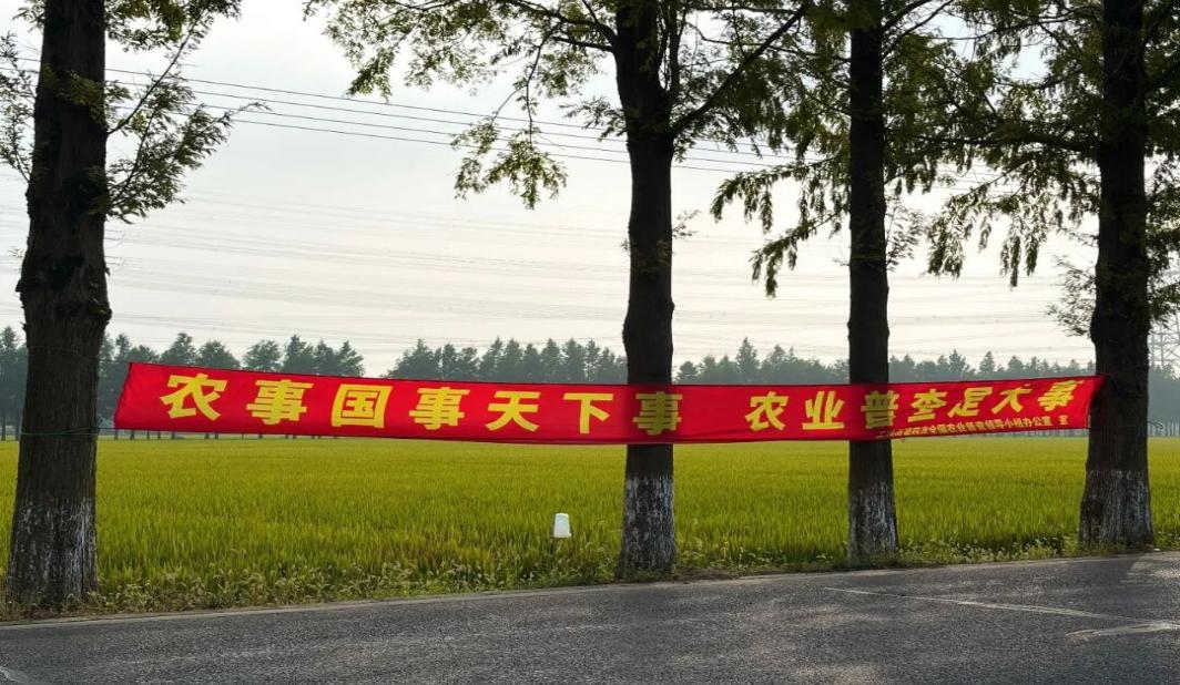 第四次全国农业普查进行时，松江涉农地区响起敲门声