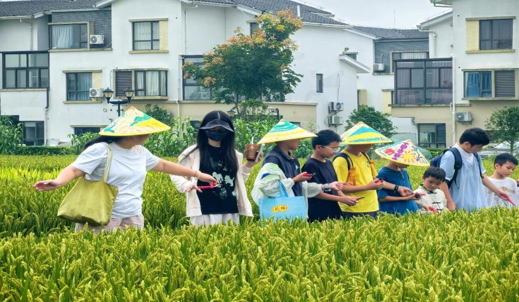 画斗笠、识水稻，中秋假期，他们在东夏村解锁亲子时光