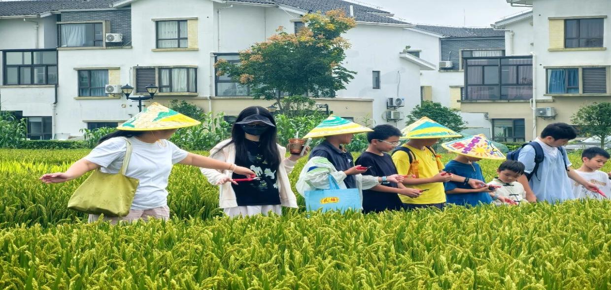 画斗笠、识水稻，中秋假期，他们在东夏村解锁亲子时光