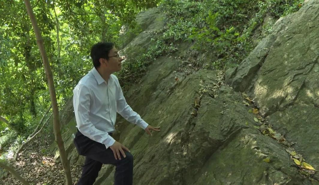 市民意外发现东佘山“狮子岩”石刻，多方考证厘清身世渊源