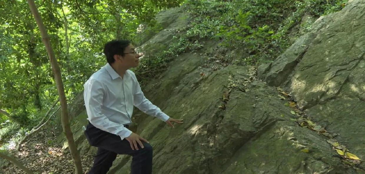 市民意外发现东佘山“狮子岩”石刻，多方考证厘清身世渊源