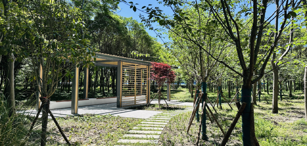 家门口新增“城市绿洲”！中山街道首个休闲林地对外开放