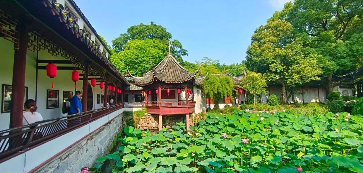 来醉白池赏绝美荷景，这些市民可享免票福利