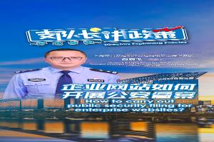企业网站如何开展公安备案