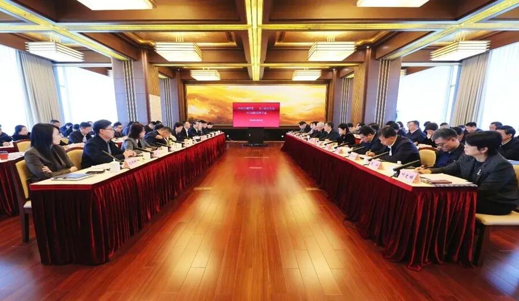 “区区合作”如何为上海松江打开新格局？