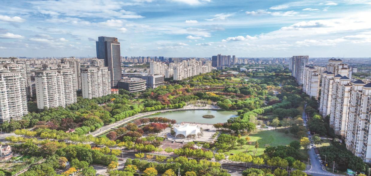 中央公园色彩缤纷  景色宜人