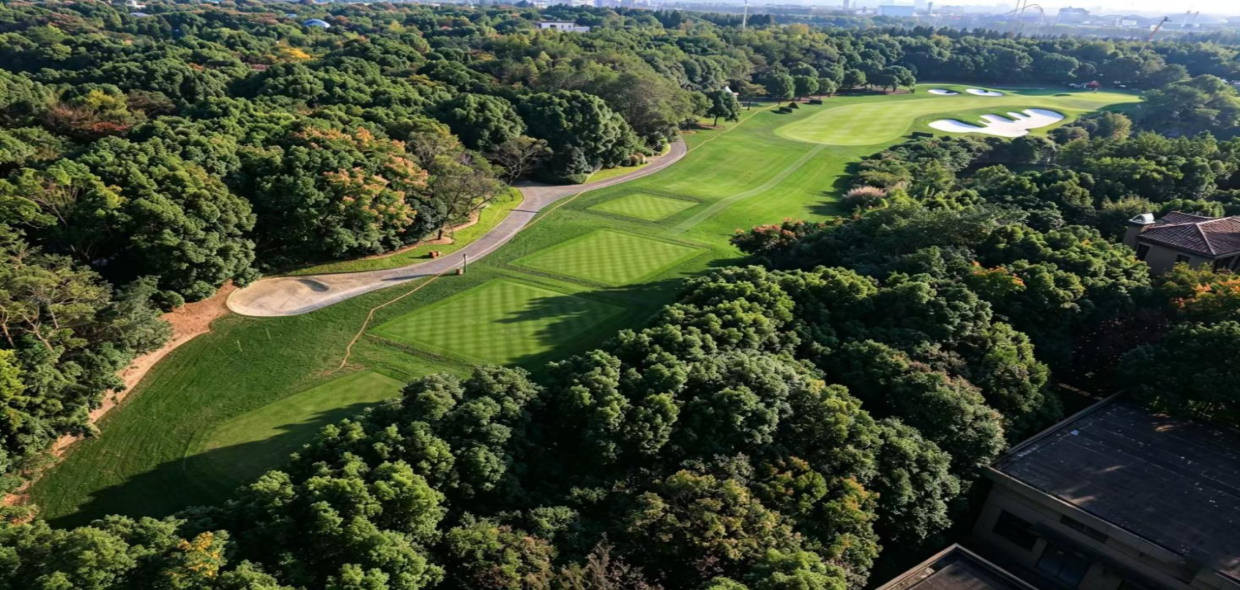 双草种考验、精细调校！揭秘别克LPGA锦标赛佘山球场筹备工作