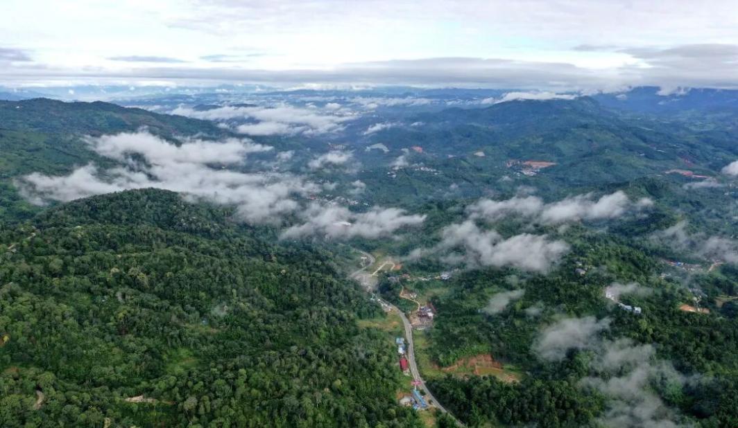 从“卖茶叶”到“卖风景”，沪滇协作赋能南糯山村走出乡村振兴新路