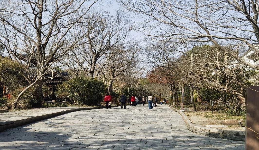 来松江 过大年｜假日尾声去哪玩？在广富林文化遗址享受惬意春光