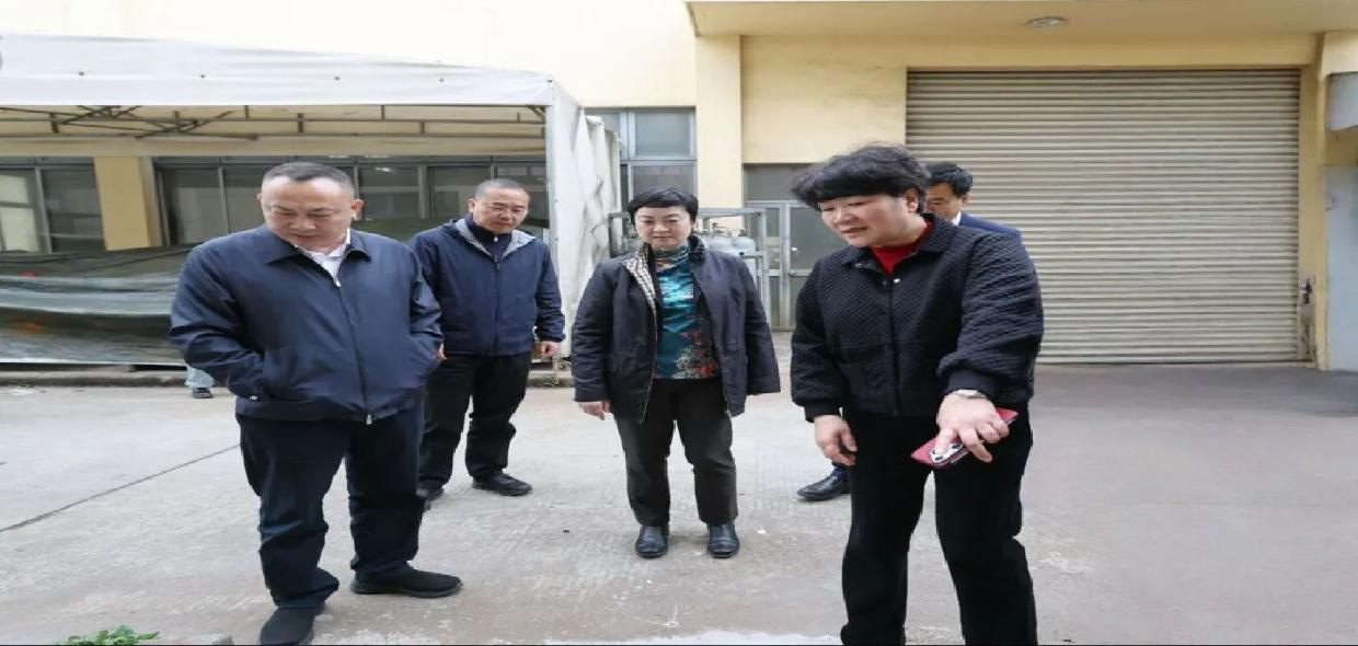 区领导调研市生态环境保护警示片披露问题点位整改工作