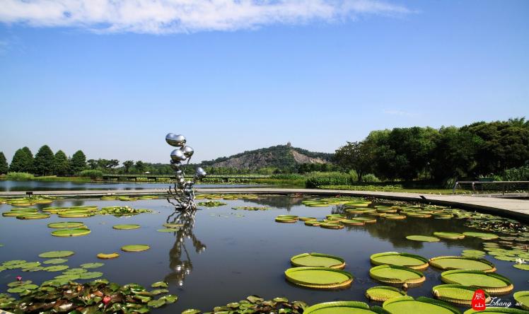 辰山植物园