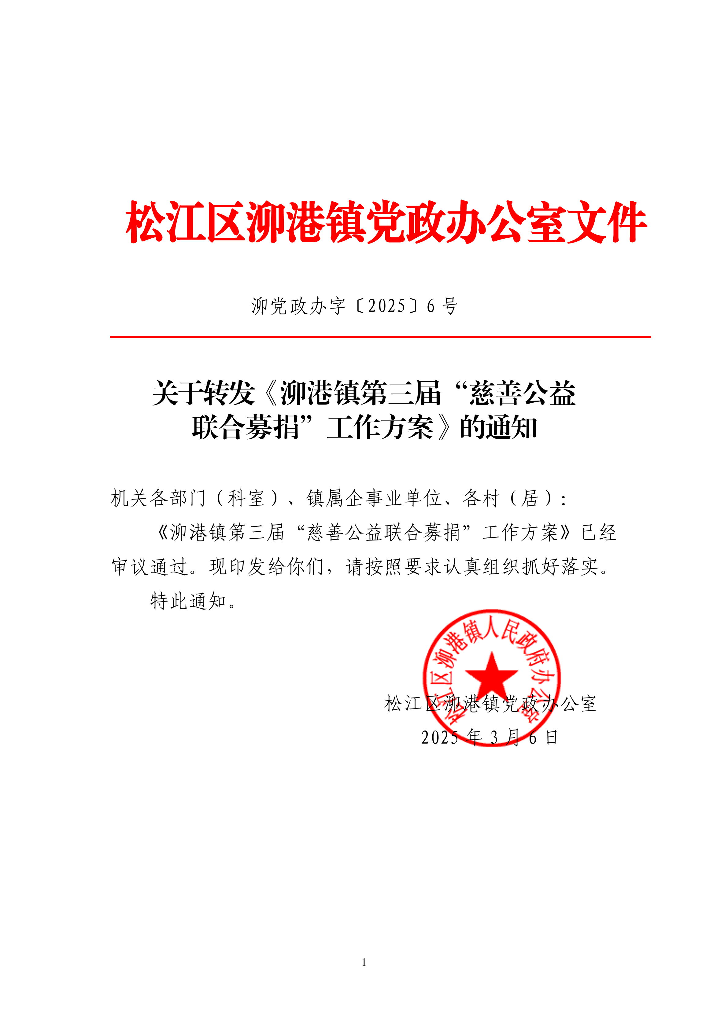 泖党政办字〔2025〕6号.pdf