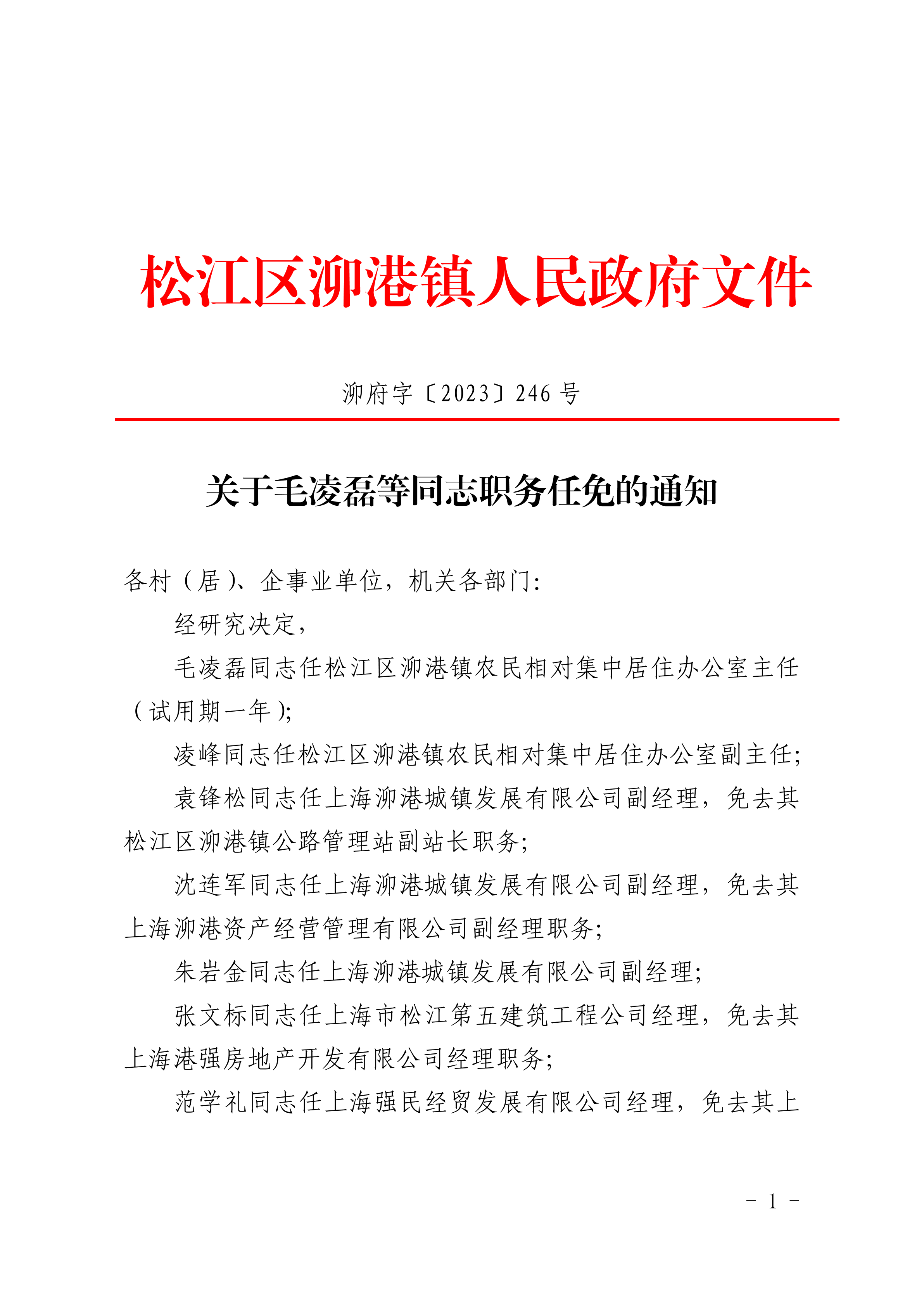 泖府字〔2023〕246号.pdf