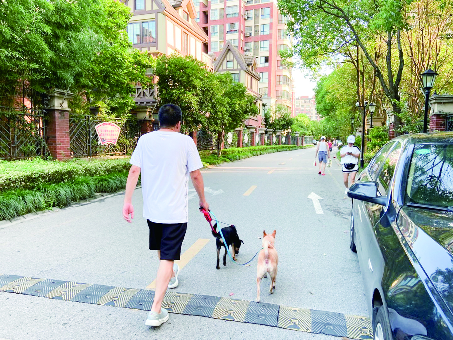 8月5日早上6时,绿地蔷薇九里小区,记者偶遇几名遛狗的居民.
