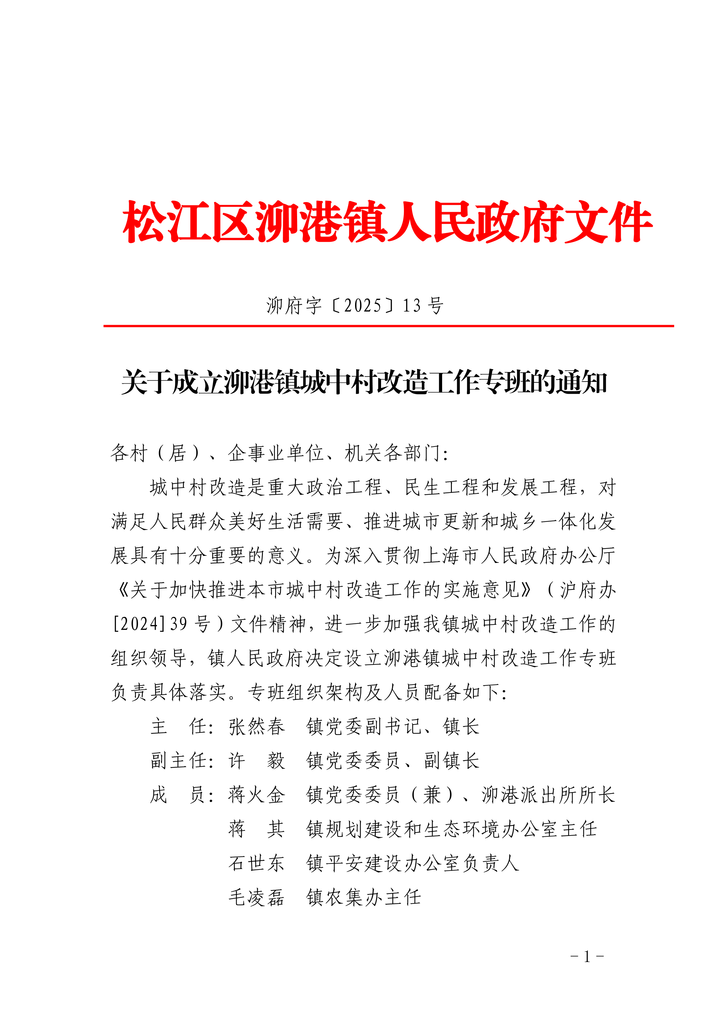泖府字〔2025〕13号.pdf