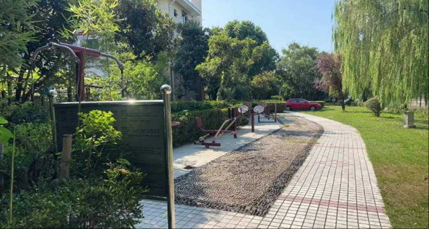 新建5处、更新5处！泗泾这些家门口的户外“健身房”喊你来运动啦