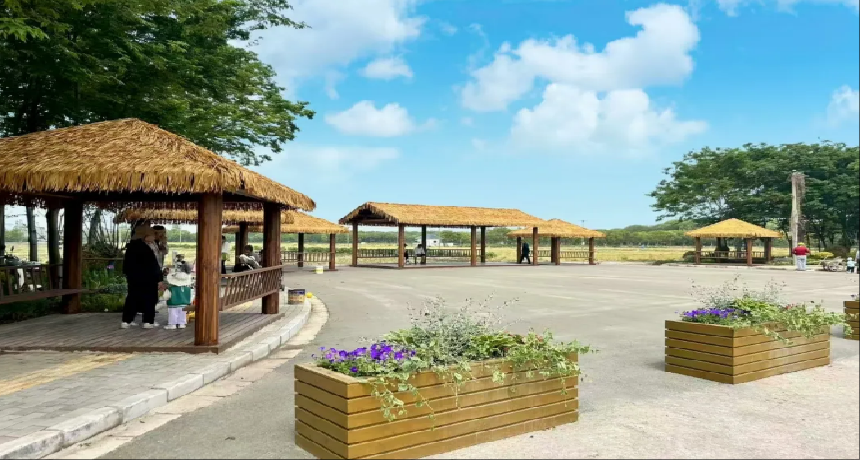 探索农旅融合发展的新路径，泗泾这个改造工程让美丽田园风光延伸到城市边缘