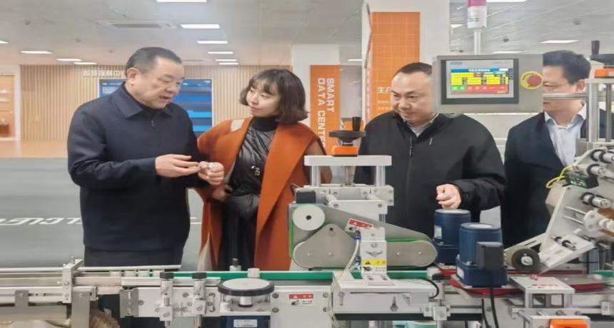 立足“十五五” 助力开新局丨区政协主席刘其龙带队来小昆山镇走访委员企业