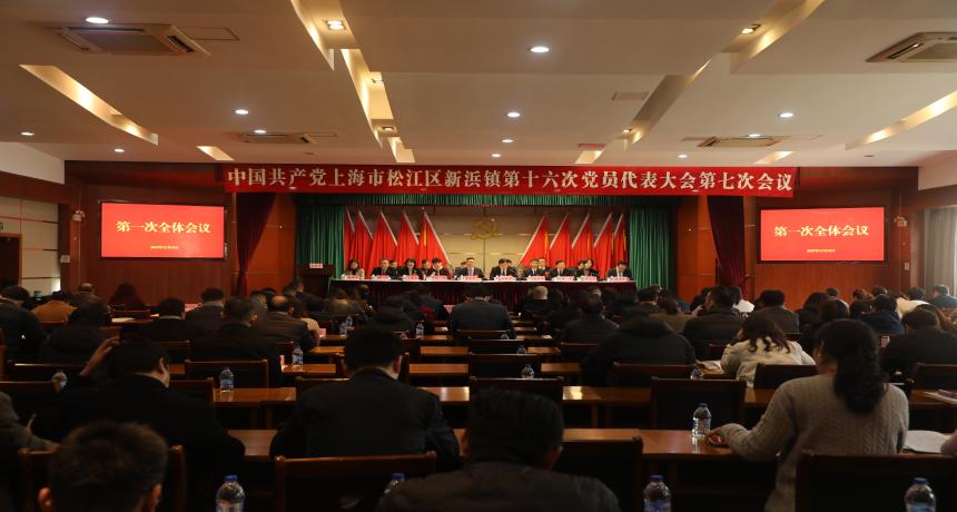 中共新浜镇第十六次党员代表大会第七次会议胜利召开