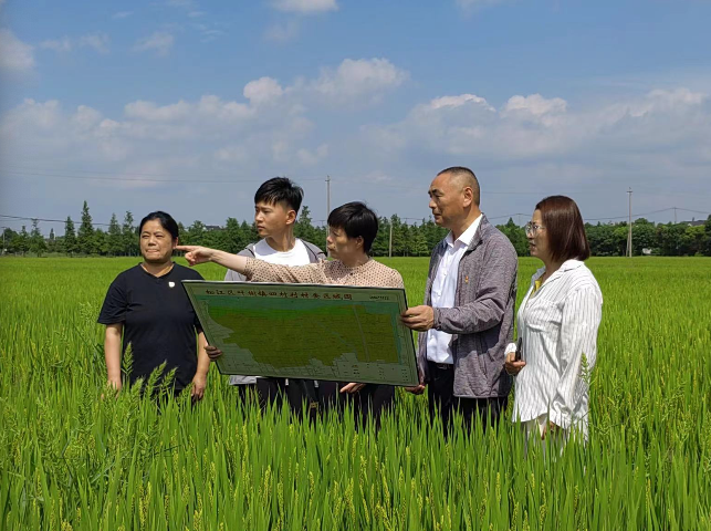 全面开展“书记项目”,叶榭镇用党建引领“金钥匙”打开乡村振兴“幸福门”